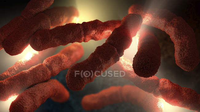3D-Illustration der extremen Nahaufnahme roter stäbchenförmiger Bakterien. — Stockfoto