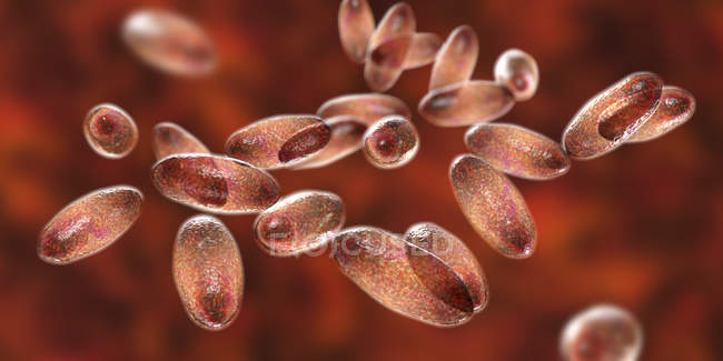 Bacterias gramnegativas de la peste Yersinia pestis con tinción bipolar, ilustración digital . - foto de stock