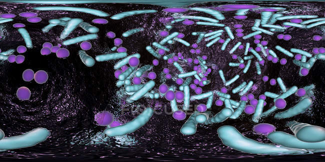 Сферична і стрижкоподібна бактерії всередині біоплика, 360 ступеня Панорама, цифрова ілюстрація. — стокове фото