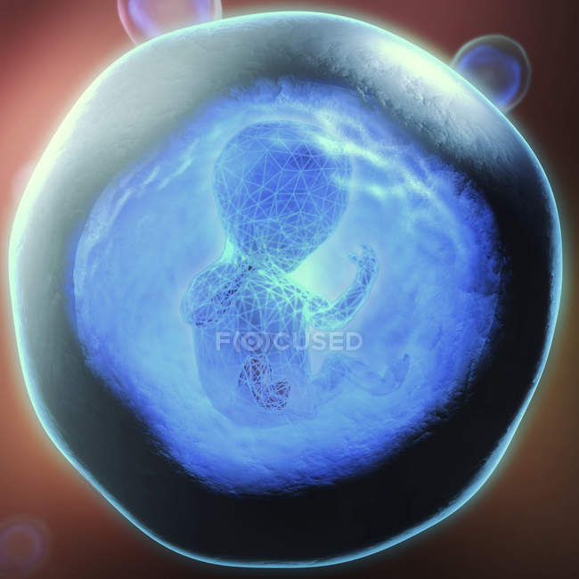 Illustration 3D du fœtus génétiquement modifié piégé dans une bulle bleue transparente . — Photo de stock