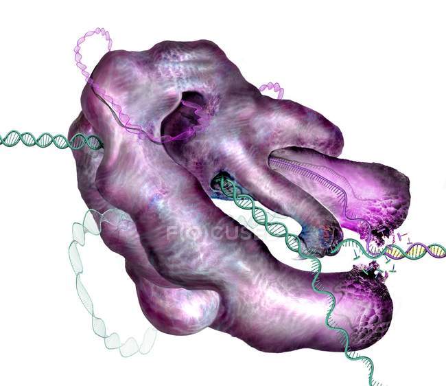 Crispr-Cas9 комплекс редагування генів ДНК і клітин, Концептуальна ілюстрація. — стокове фото