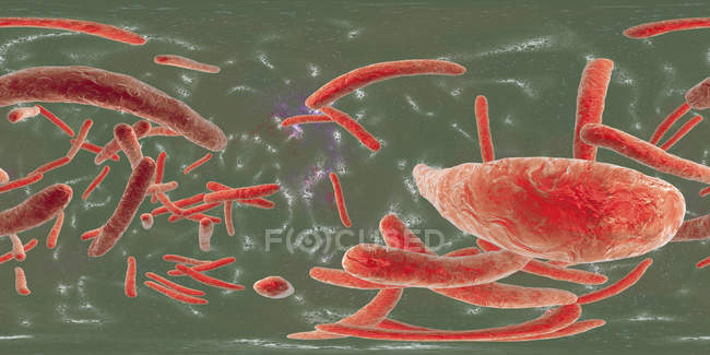 Цифровая иллюстрация туберкулеза микобактерии грамположительные палочковидные бактерии, вызывающие туберкулез . — стоковое фото