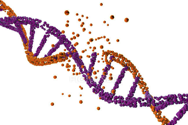 Пошкодження кольорової молекули ДНК на білому тлі, концептуальна ілюстрація генетичного розладу . — стокове фото