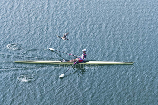 Male athlete rowing single scull rowing boat. — Stock Photo