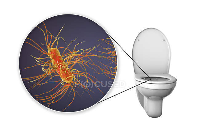 Флеш-туалет мікробна забруднена поверхня, Концептуальна Цифрова ілюстрація на білому фоні. — стокове фото
