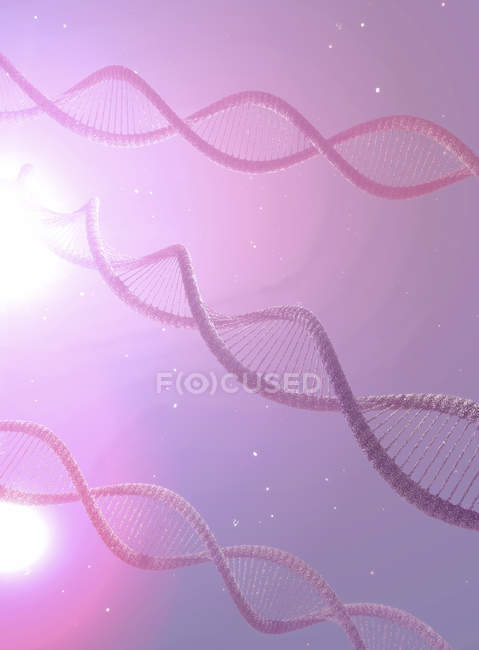 Moléculas de ADN helicoidales sobre fondo rosa, ilustración digital . - foto de stock