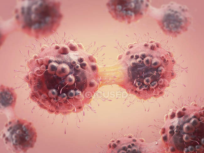 Illustrazione digitale 3d colorata di cellule tumorali in processo di mitosi
. — Foto stock