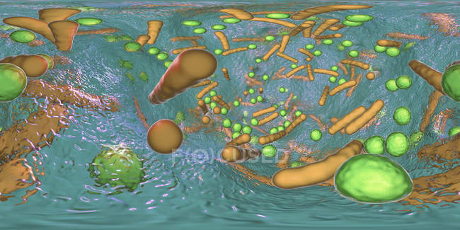 Bacterias esféricas y en forma de barra dentro del biofilm, panorama de 360 grados, ilustración digital
. - foto de stock