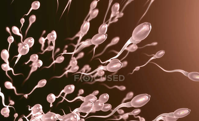 3D-Darstellung menschlicher Spermien im Fortpflanzungsprozess. — Stockfoto