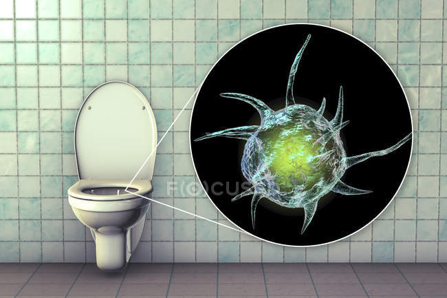 Toilet microbe on contaminated seat surface in water closet, conceptual digital illustration. — Stock Photo