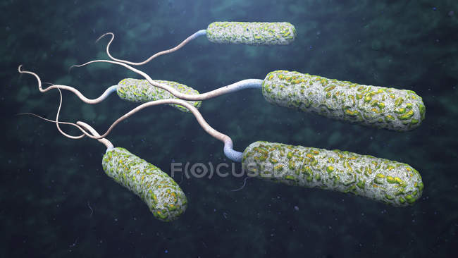 3d ilustración de patógenos del cólera en aguas oscuras contaminadas
. - foto de stock