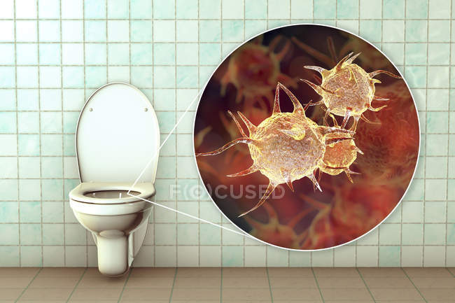 Microbios del inodoro en la superficie del asiento contaminada en el armario de agua, ilustración digital conceptual
. - foto de stock