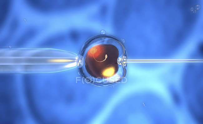 Illustration conceptuelle en 3D de l'insémination artificielle, fécondation in vitro d'ovules humains
. — Photo de stock