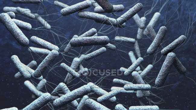 Illustration 3D des agents pathogènes du choléra dans l'eau bleu foncé
. — Photo de stock