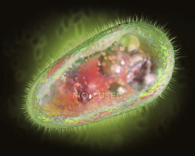 Illustration 3D d'un protozoaire transparent et coloré . — Photo de stock