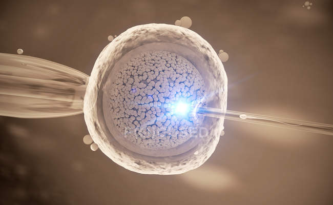 3D-Illustration der In-vitro-Fertilisation von Eizellen. — Stockfoto