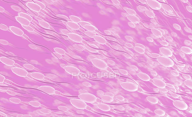 3D-Darstellung von Spermien auf rosa Hintergrund. — Stockfoto