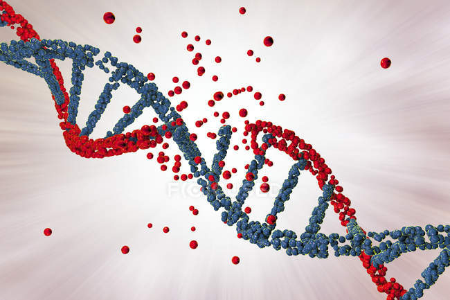 Dano da molécula de DNA vermelho colorido, ilustração conceitual do distúrbio genético
. — Fotografia de Stock
