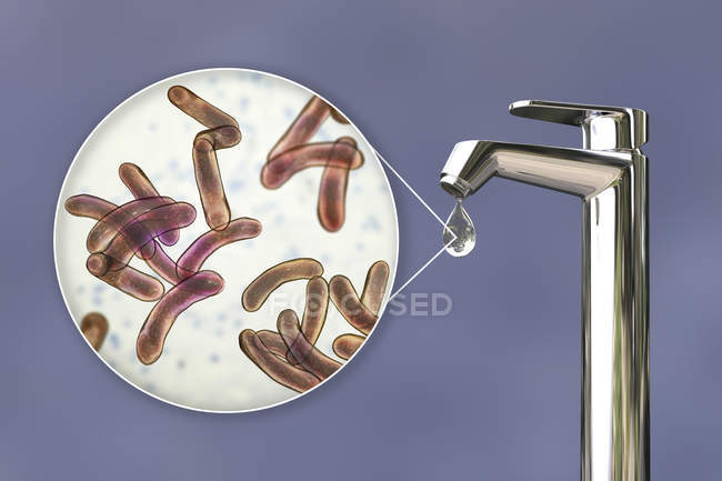 Conceptual illustration showing bacteria Vibrio cholerae in drop of water from tap. — Stock Photo