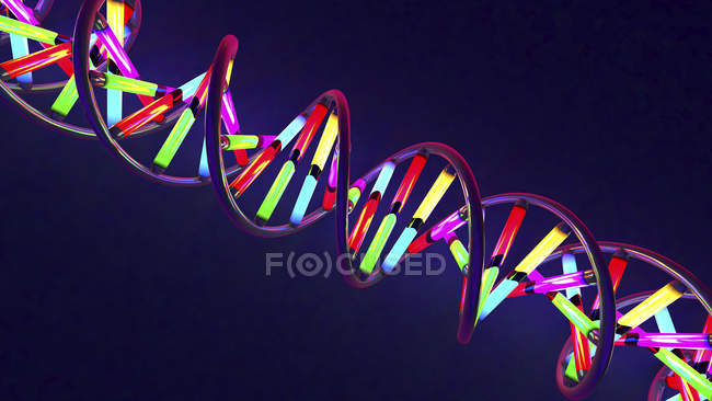 Molécula de ADN con elementos multicolores, ilustración digital . - foto de stock