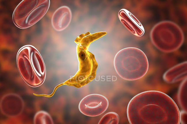 Digital illustration of trypanosome parasite in blood causing Chagas disease. — Stock Photo
