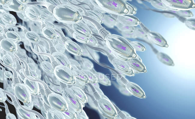 Ilustração 3d de células de esperma humano no processo reprodutivo . — Fotografia de Stock