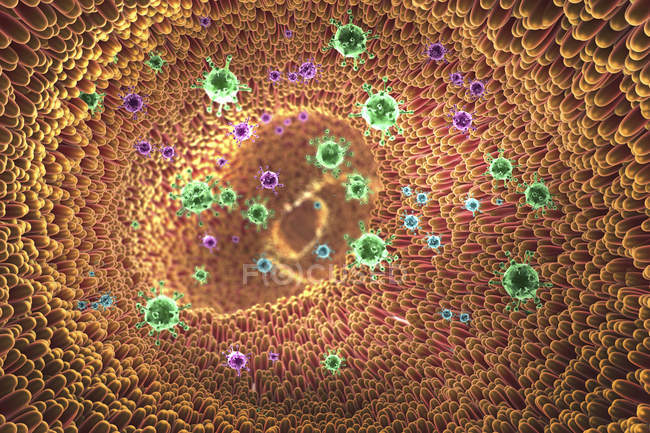 3D ілюстрація частинок вірусу та кишкового Віллі. — стокове фото