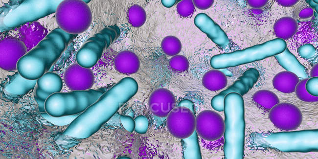 Bacterias esféricas y en forma de varilla dentro del biofilm, ilustración digital . - foto de stock