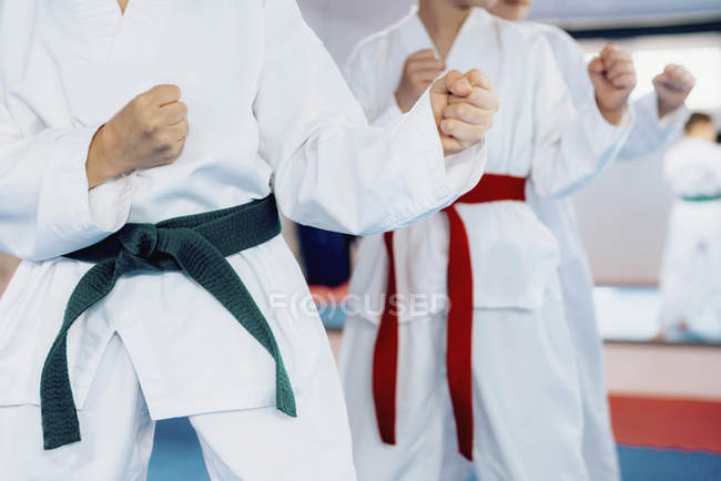 Crianças com cintos posando em postura na classe taekwondo . — Fotografia de Stock