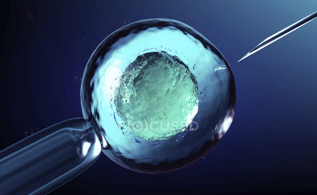 Konzeptionelle 3D-Illustration der künstlichen Befruchtung, in vitro-Fertilisation menschlicher Eizellen. — Stockfoto