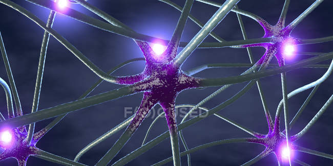Ilustración abstracta en 3D de células nerviosas con conexiones en el sistema nervioso humano
. - foto de stock