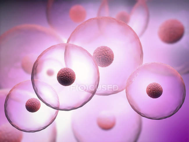 3d ilustración de células transparentes con núcleos sobre fondo púrpura
. - foto de stock