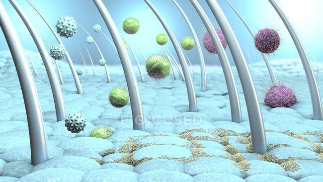 Bactérias e vírus na pele humana, ilustração digital
. — Fotografia de Stock