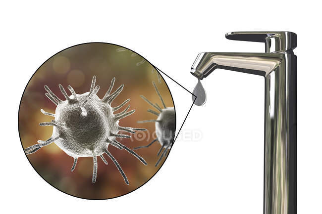 Seguridad del agua potable. Ilustración conceptual que muestra microorganismos parásitos abstractos en la gota de agua
. - foto de stock
