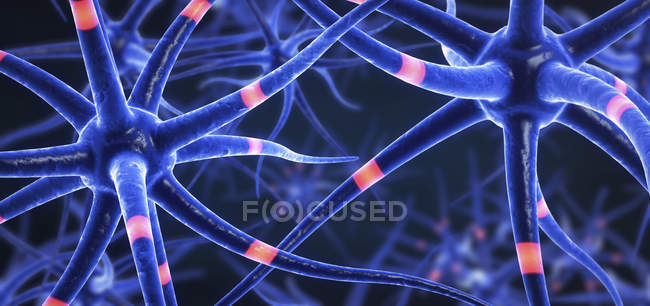 3D-Illustration von Signalen, die Nervenzellen übermitteln. — Stockfoto