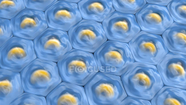 3d ілюстрація синіх клітин з жовтими ядрами . — стокове фото