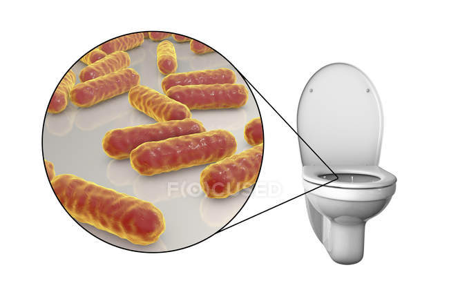 Microbios de inodoro enrasados en superficie contaminada, ilustración digital conceptual sobre fondo blanco
. - foto de stock