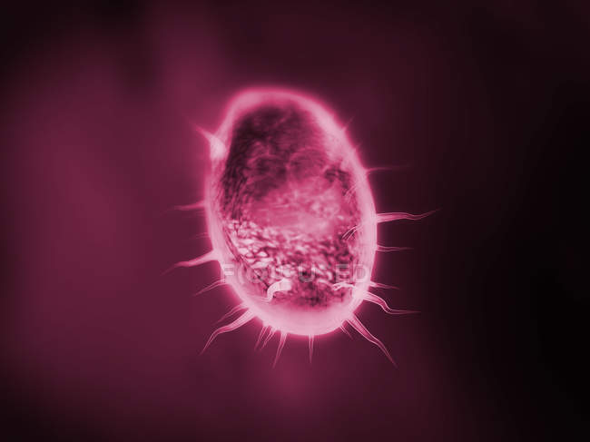 3d ilustración de microorganismo protozoario de color rojo . - foto de stock