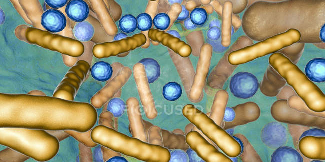 Bacterias esféricas y en forma de varilla dentro del biofilm, ilustración digital
. - foto de stock