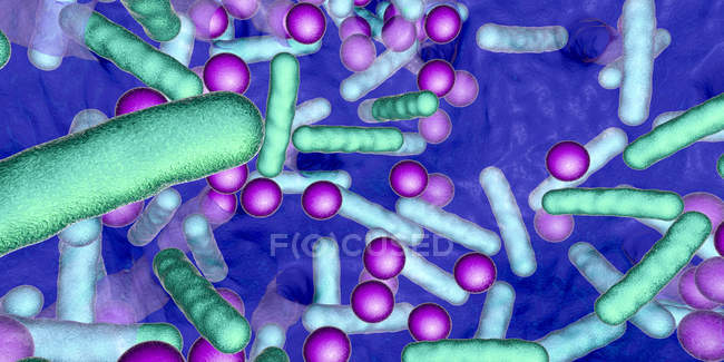 Kugelförmige und stäbchenförmige Bakterien im Biofilm, digitale Illustration. — Stockfoto