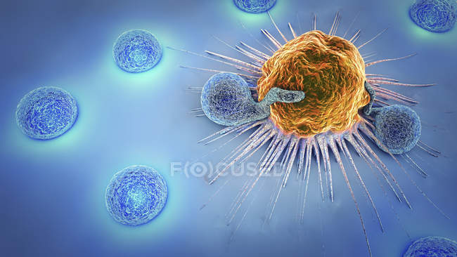 3D ілюстрація лімфоцитів атакуючих ракових клітин в організмі людини. — стокове фото