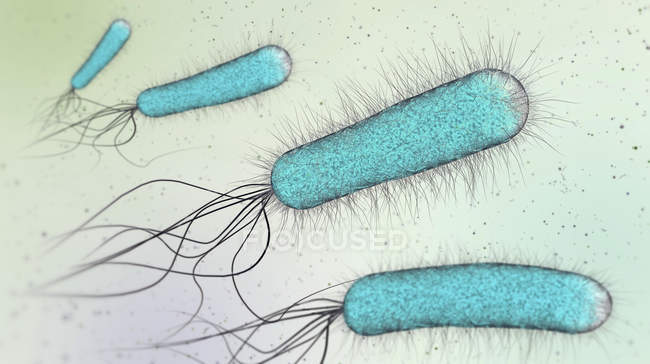 3D-Illustration blauer stäbchenförmiger Bakterien. — Stockfoto
