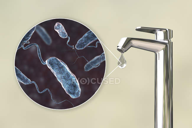 Ilustración conceptual que muestra bacterias Vibrio cholerae en gota de agua del grifo
. - foto de stock