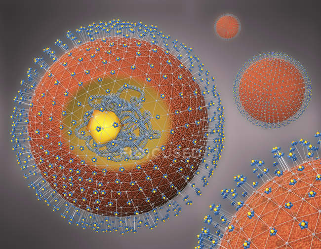 Illustration 3D de la coupe transversale de l'agent pathogène de l'hépatite avec ADN, noyau cellulaire et récepteurs . — Photo de stock