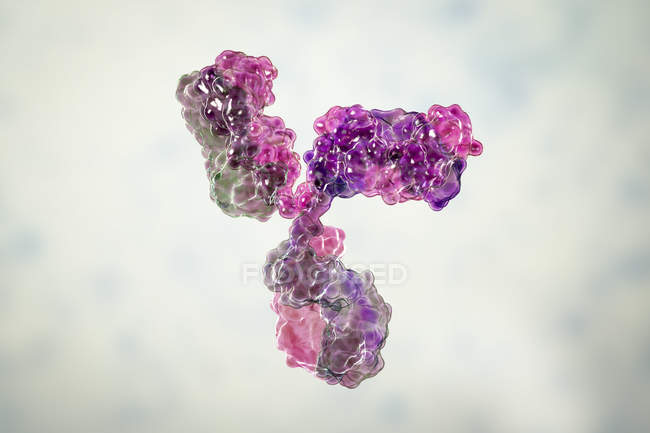 Digital molecular model of secondary structure of immunoglobulin G antibody. — Stock Photo