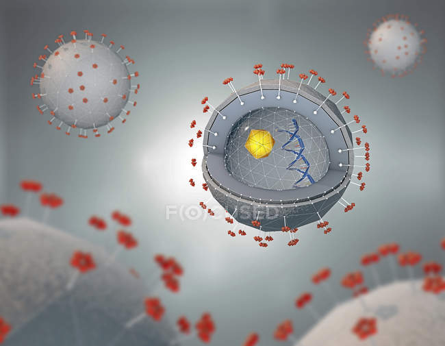 3d ilustração da seção transversal do patógeno da hepatite com DNA, núcleo celular e receptores . — Fotografia de Stock