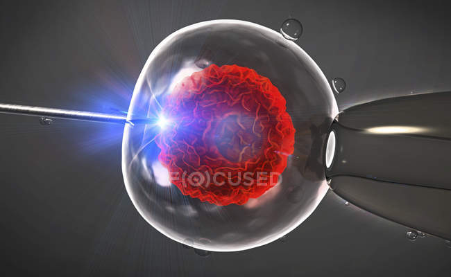 Концептуальна 3d ілюстрація штучного запліднення, in vitro запліднення клітин яєць людини . — стокове фото