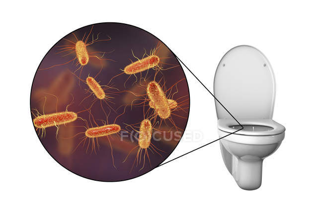 Flush toilet microbes on contaminated surface, conceptual digital illustration on white background. — Stock Photo