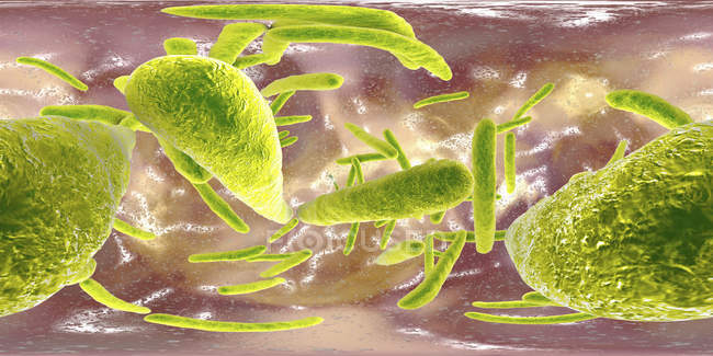 Цифрова ілюстрація мікобактерій туберкульозу грампозитивних бактерій у формі стрижня, які спричиняють туберкульоз хвороб . — стокове фото