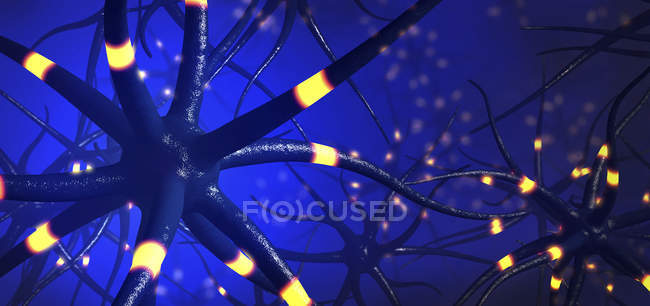 Digital 3d illustration of transmitting nerve cells. — Stock Photo